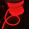 5m rgbw SMD 5050 color changing rgbic dmx led light neon replacement 360 rgb neon flex luces