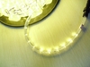 led rope light duralight